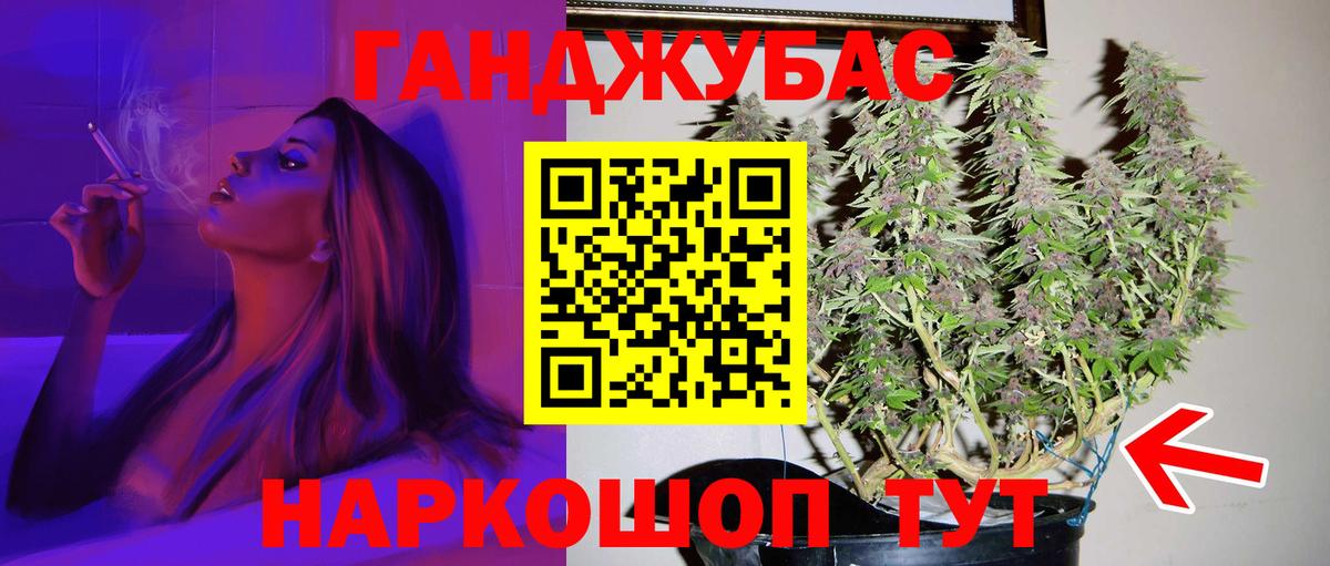 Зеленогорск  Бошки марихуана план  Вход с VPN  Конопля марихуана 